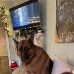 Marlène Chasse Benoît - @bmarlenechasse - Instagram