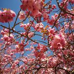 Marlene Berg - @ma78be - Instagram