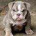 Marlene Berman - Facebook