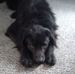 Billie Marlene Kelly - Facebook