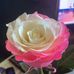 Marlene Blank - Facebook