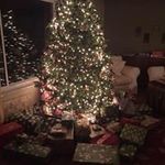 Marlene Bloomfield - @marlenebloomfield - Instagram