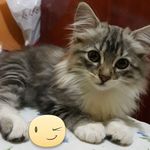 Marlene Bolanos - @marlene.bolanos.3 - Instagram