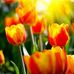 Marlene Bonner - Facebook