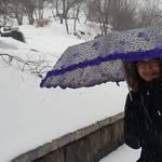 Marlene Bowman - @marlenebowman781 - Instagram