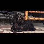 Marlee - @boykin_marlee - Instagram