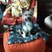 Marlene Bradshaw - Facebook