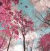 Marlene Bravo - Facebook