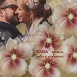 marlene bryan - @marlenebryan72 - Instagram