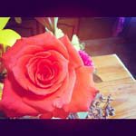 _Marlene_Burnett - @_marlene_burnettk - Instagram