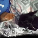Marlene Burton - @marlene.burton.7127 - Instagram