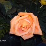 Marlene Byrd - Facebook