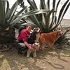 Marlene Cabrera - @marlenecabrera2020 - TikTok