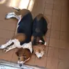 Marlene.Caires - @marlene.caires - TikTok