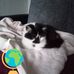 Marlene Charlton - Facebook