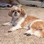 Marlene Churchill - @churchillmarlene - Instagram