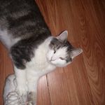 Marlene Clarke - @marlene.clarke.148 - Instagram