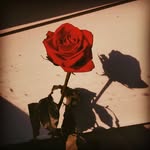 Marlene - @cloudyy.marlene - Instagram