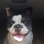 Marlene Cole - @newgencareers - Instagram
