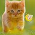 Marlene Coles - Facebook