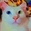 Marlene Correia - @marlene.correia66 - TikTok