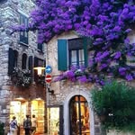 Marlène Côté - @marlenecote8 - Instagram
