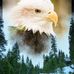 Marlene Cote - Facebook