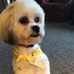 Marlene Couch - Facebook