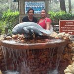 Marlene Crespo - @mccrespo1 - Instagram