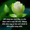 marlena.curley803 - @marlena.curley803 - TikTok