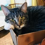 Marlene Dale Thomason - @moosethemost - Instagram