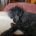Marlene Dandoy - Facebook