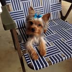 Marlene Garrison Deerman - @marlenedeerman - Instagram