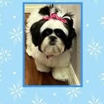 Marlene Dell - @butterflydell53 - Instagram