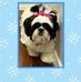 Marlene Dell - Facebook