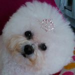 Marlene Dickson - @marlenedickson52 - Instagram