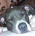 Marlene Diego - Facebook