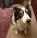 Marlene Dixon - Facebook