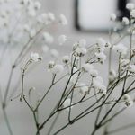 Marlene Doherty - @flowers4u_2 - Instagram
