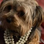 Marlene Jackson Dorsey - @marlene_jackson_dorsey - Instagram
