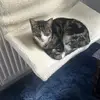 Marlene - @marlenedutton0 - TikTok
