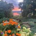 Marlene Dyer - @marlenedyer798 - Instagram