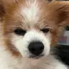 MarleneEbert - @okuneywav3g - TikTok