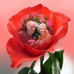 Marlene Besen Eckstein - @ecksteinmarlene - Instagram