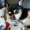 Marlene Eckman - @marlene.eckman - TikTok