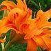 Marlene Eddy Gray - Facebook