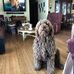 Marlene Eller - Facebook