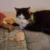 Natalie - @marleneernst3 - TikTok