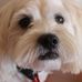 Marlene Fitzgerald - Facebook