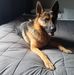 Marlene Fitzgerald - Facebook